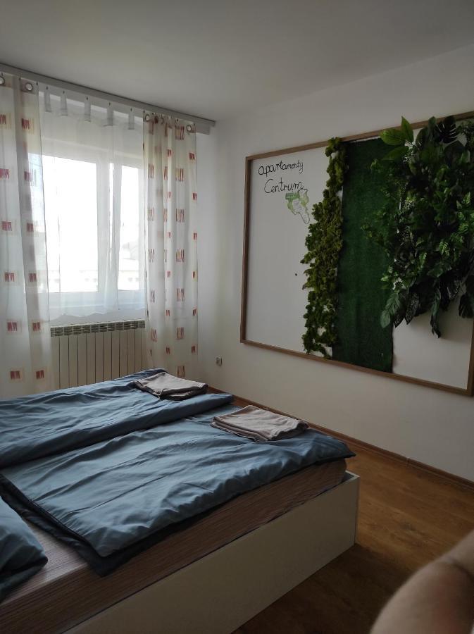 Apartamenty Centrum Walbrzych Ngoại thất bức ảnh